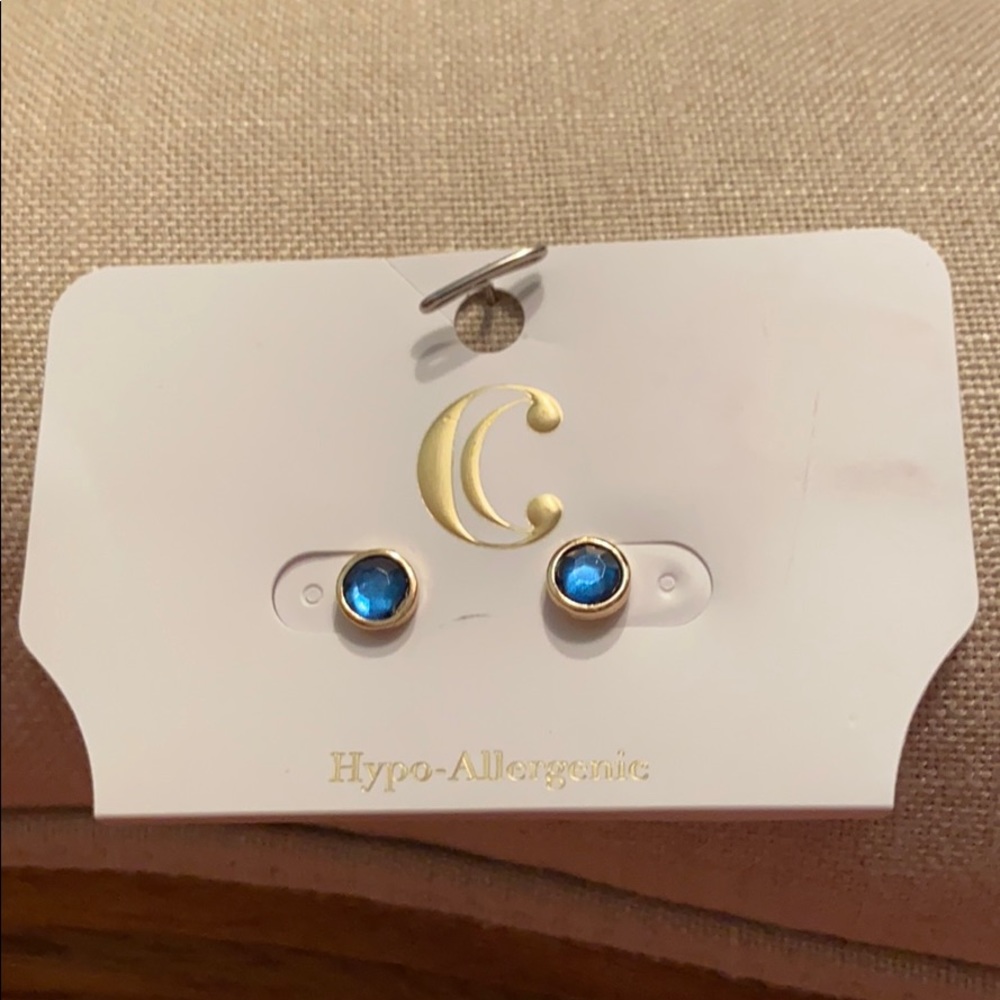 Charming Charlie’s Mint Blue Medium Earrings